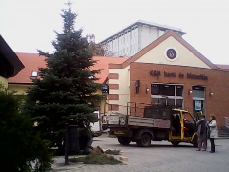 karifa_007.jpg